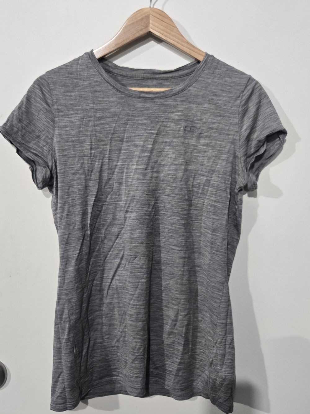 Icebreaker Gray & Black Short Sleeve Crewneck Tee (2)